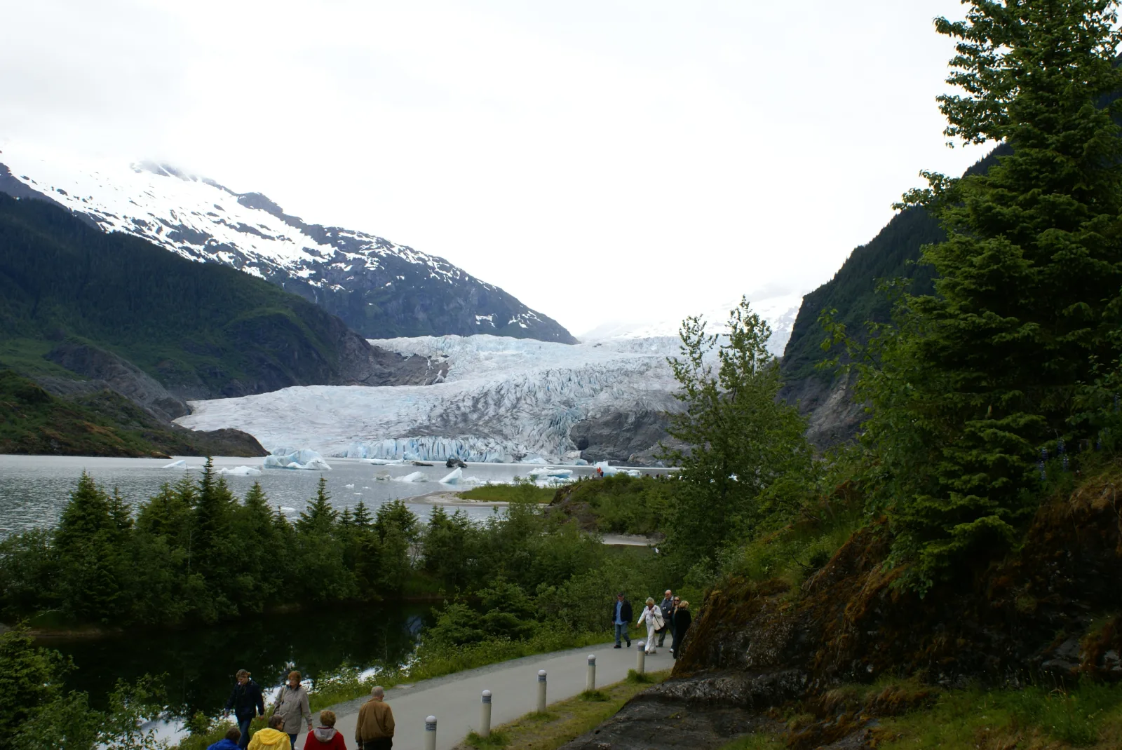 Mendenhall Glacier in Tongass National Forest